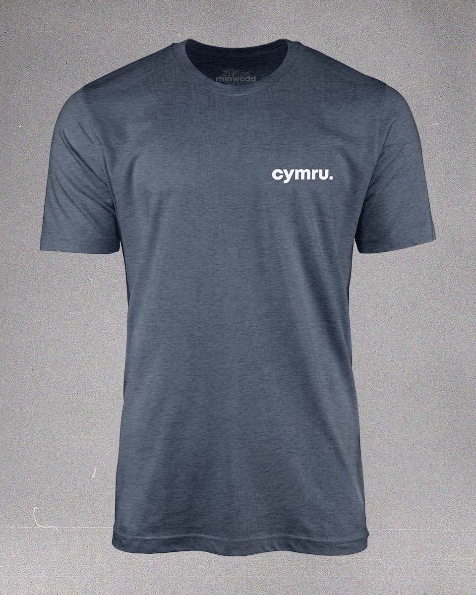 Cymru T-Shirt - Blue