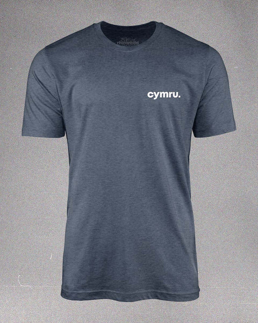 Cymru T-Shirt - Blue