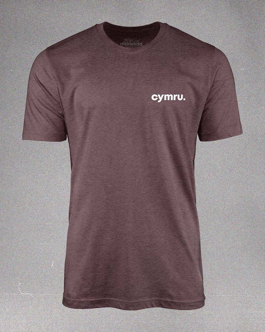 Cymru T-Shirt - Red